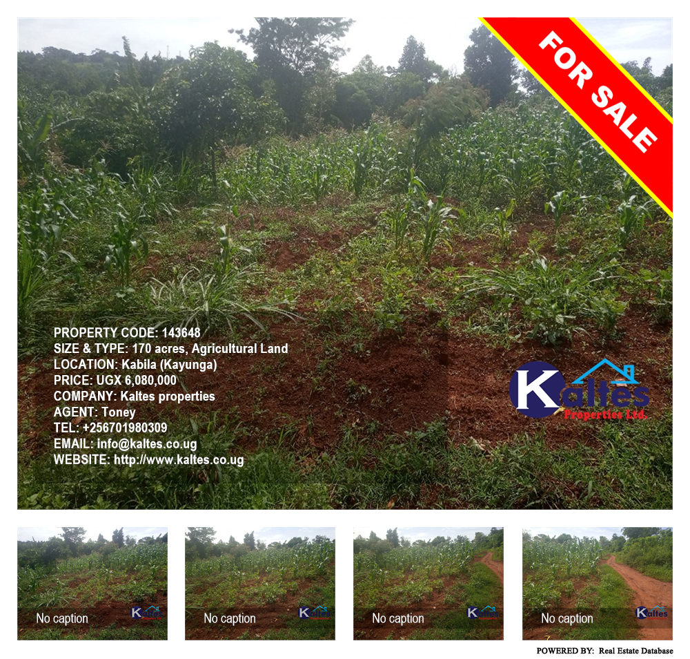 Agricultural Land  for sale in Kabila Kayunga Uganda, code: 143648