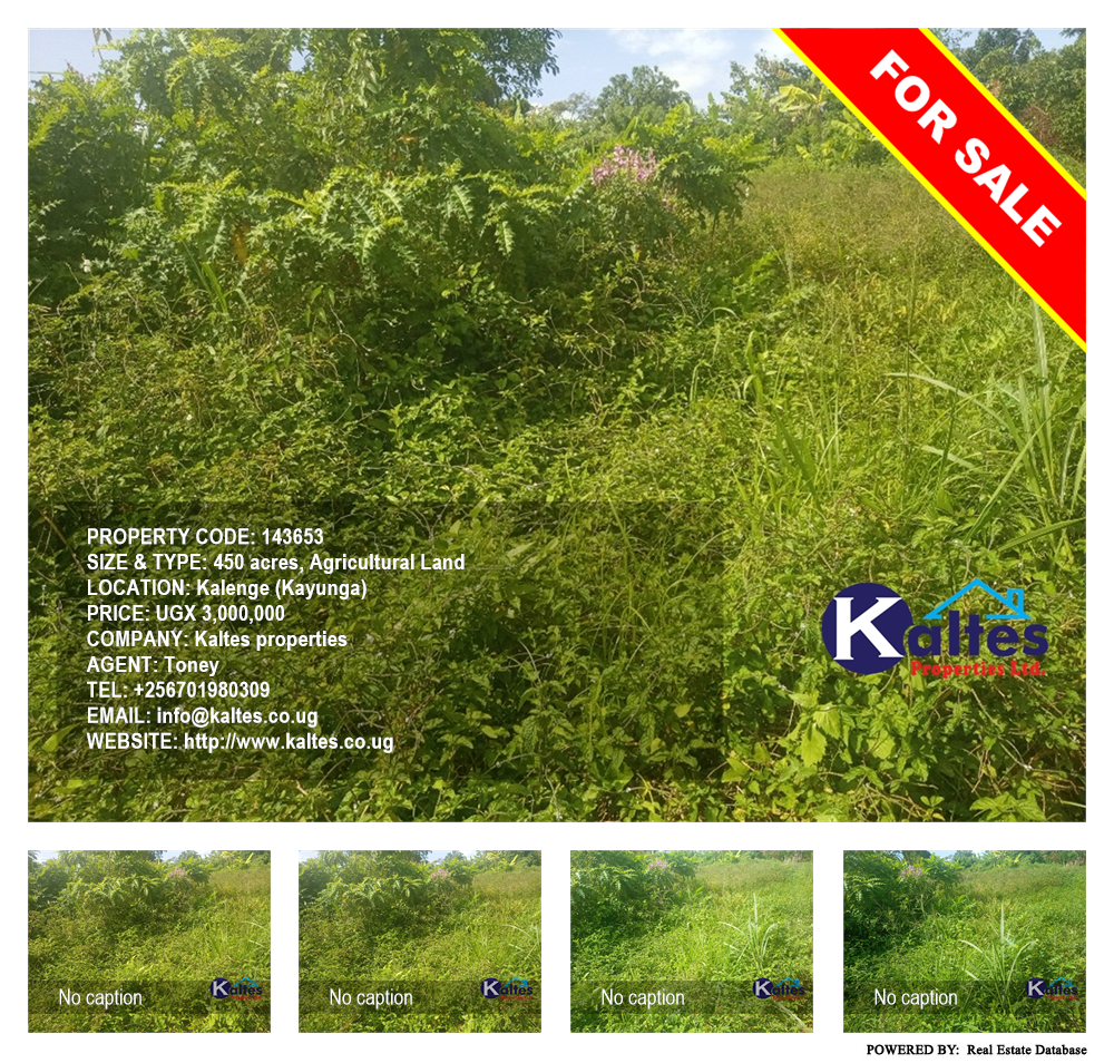 Agricultural Land  for sale in Kalenge Kayunga Uganda, code: 143653