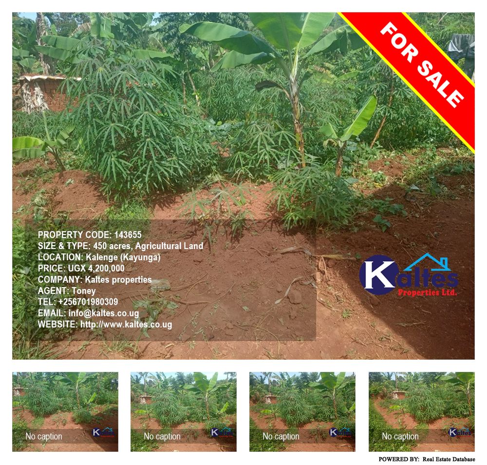 Agricultural Land  for sale in Kalenge Kayunga Uganda, code: 143655
