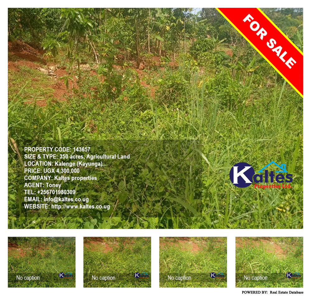 Agricultural Land  for sale in Kalenge Kayunga Uganda, code: 143657