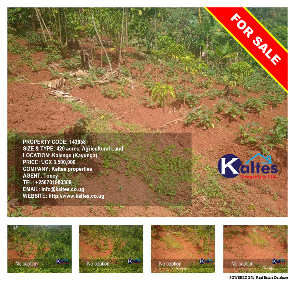 Agricultural Land  for sale in Kalenge Kayunga Uganda, code: 143658