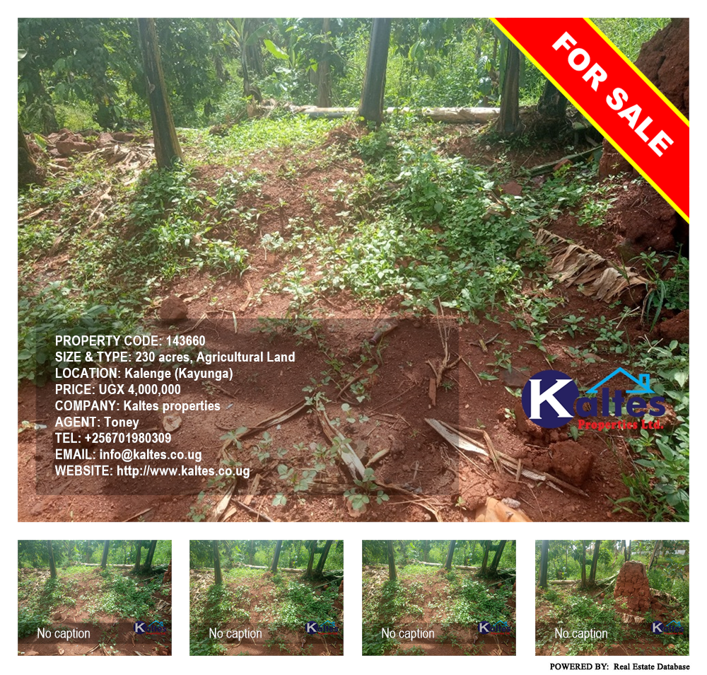 Agricultural Land  for sale in Kalenge Kayunga Uganda, code: 143660