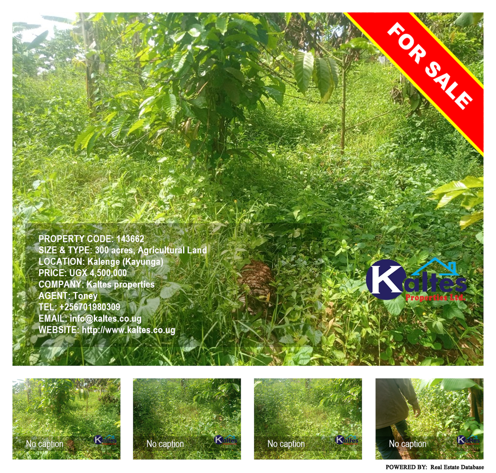 Agricultural Land  for sale in Kalenge Kayunga Uganda, code: 143662