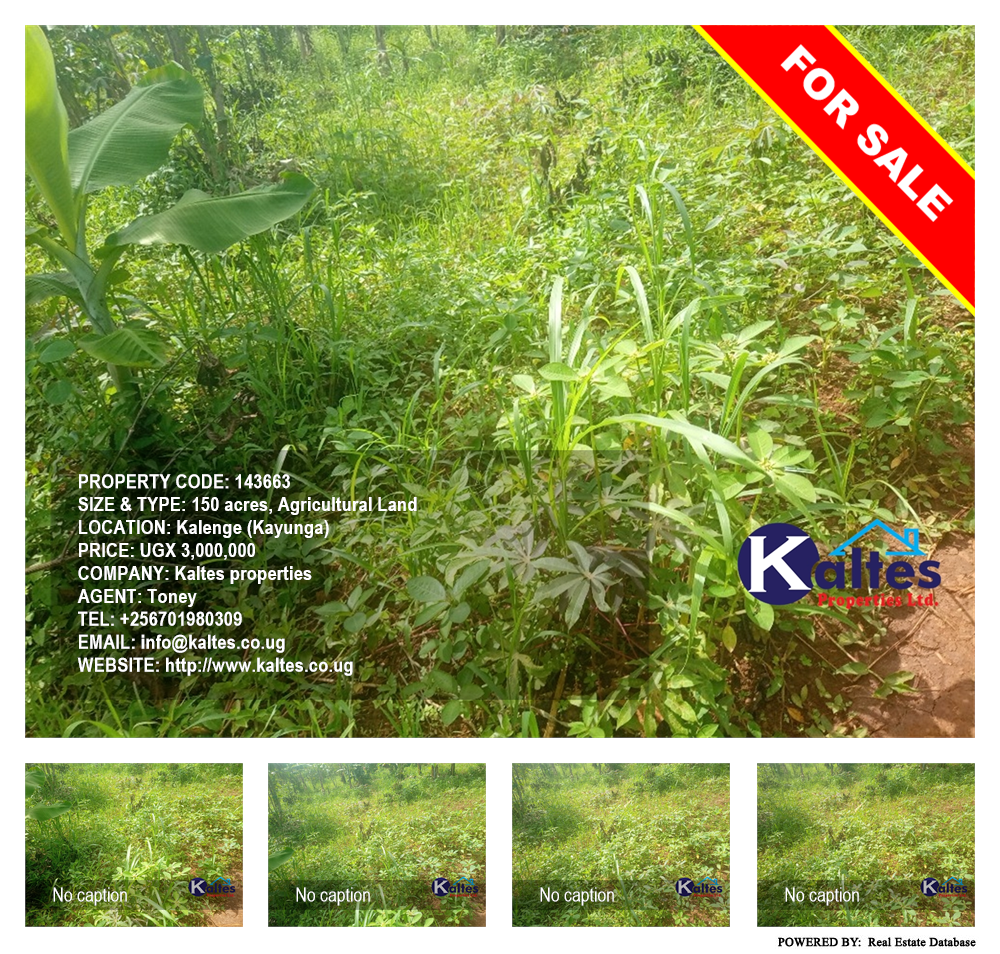 Agricultural Land  for sale in Kalenge Kayunga Uganda, code: 143663