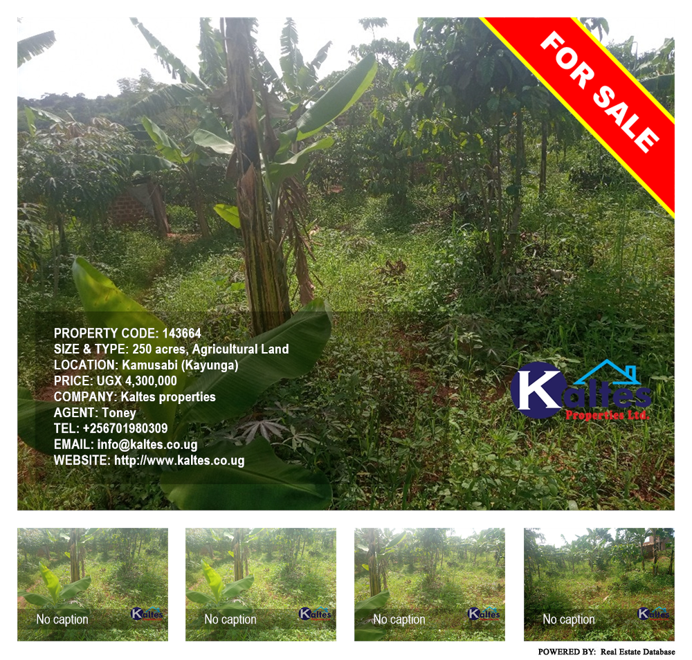 Agricultural Land  for sale in Kamusabi Kayunga Uganda, code: 143664