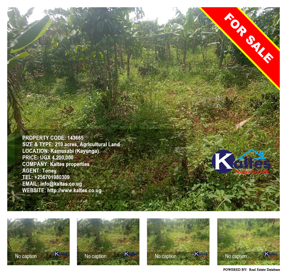 Agricultural Land  for sale in Kamusabi Kayunga Uganda, code: 143665