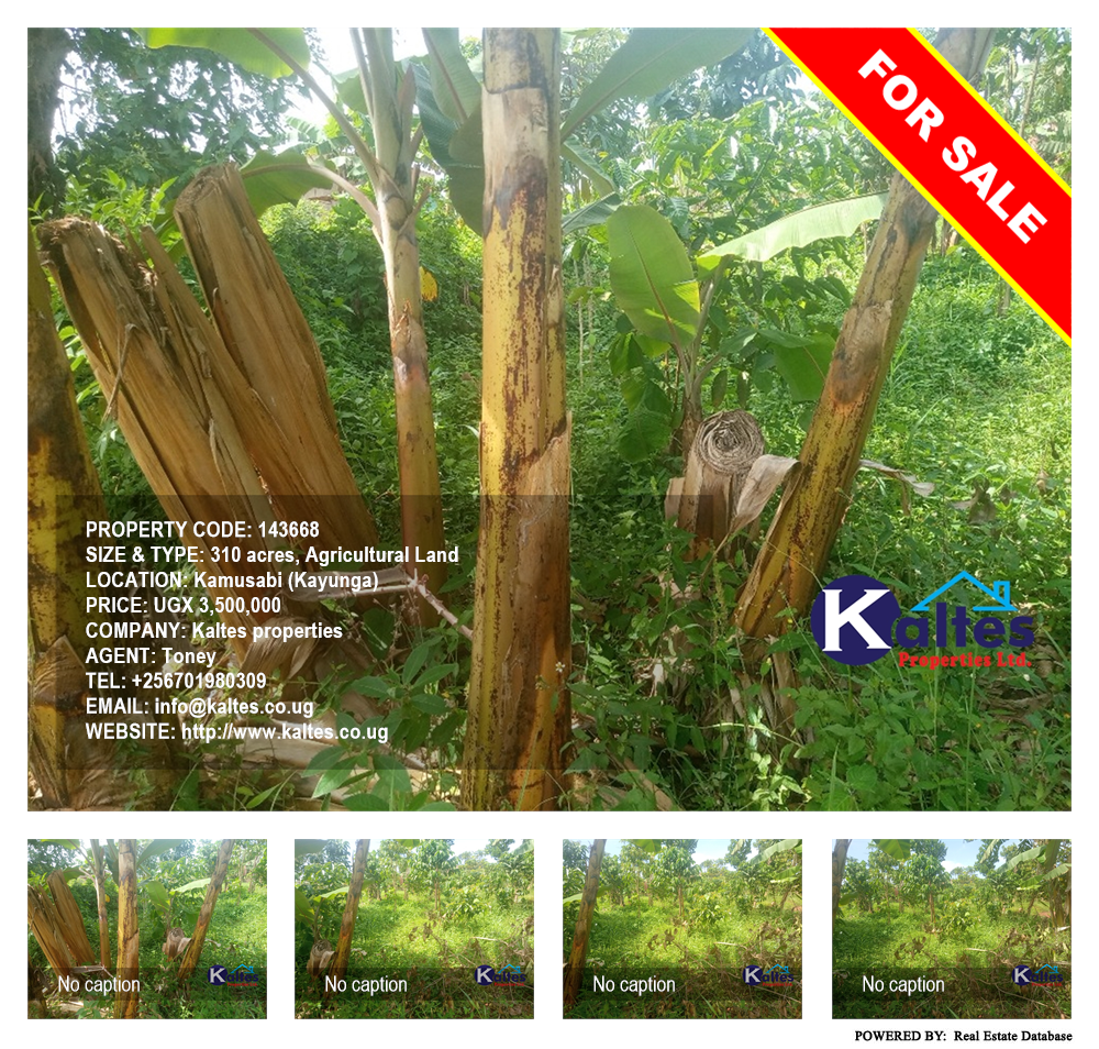 Agricultural Land  for sale in Kamusabi Kayunga Uganda, code: 143668