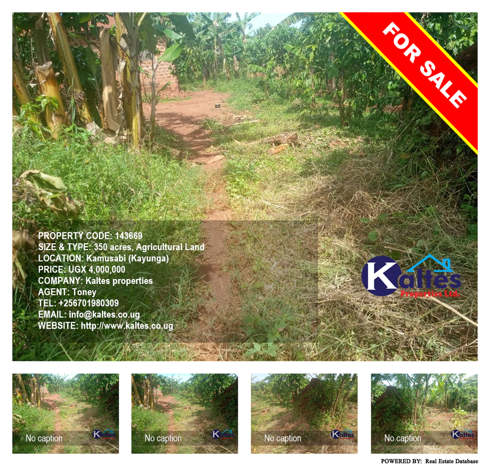 Agricultural Land  for sale in Kamusabi Kayunga Uganda, code: 143669