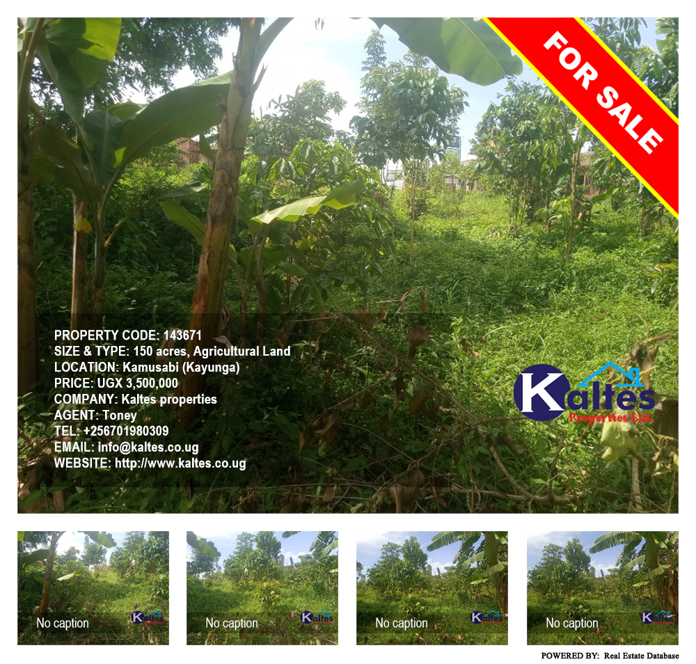 Agricultural Land  for sale in Kamusabi Kayunga Uganda, code: 143671