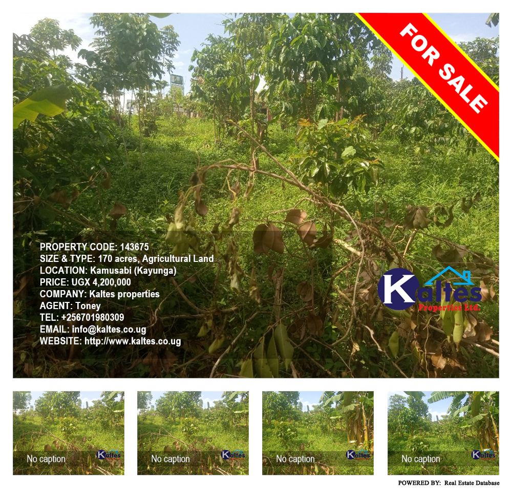 Agricultural Land  for sale in Kamusabi Kayunga Uganda, code: 143675