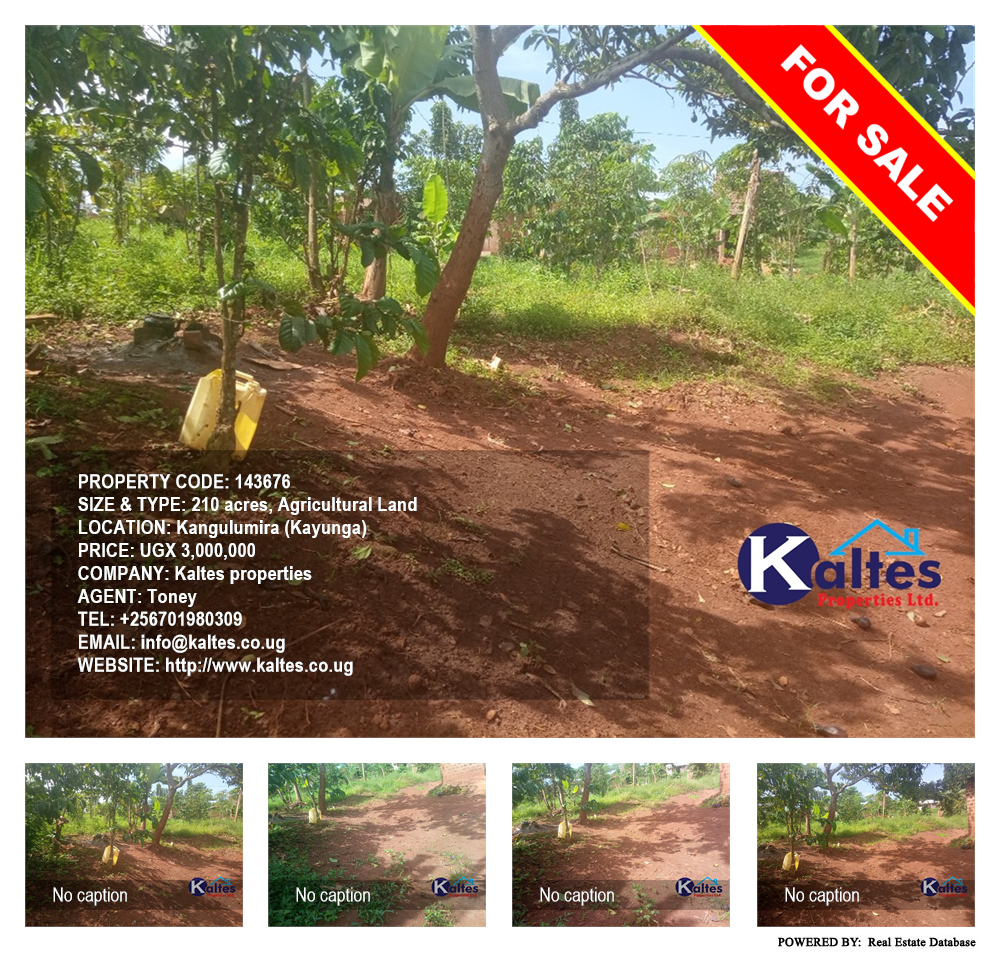 Agricultural Land  for sale in Kangulumira Kayunga Uganda, code: 143676