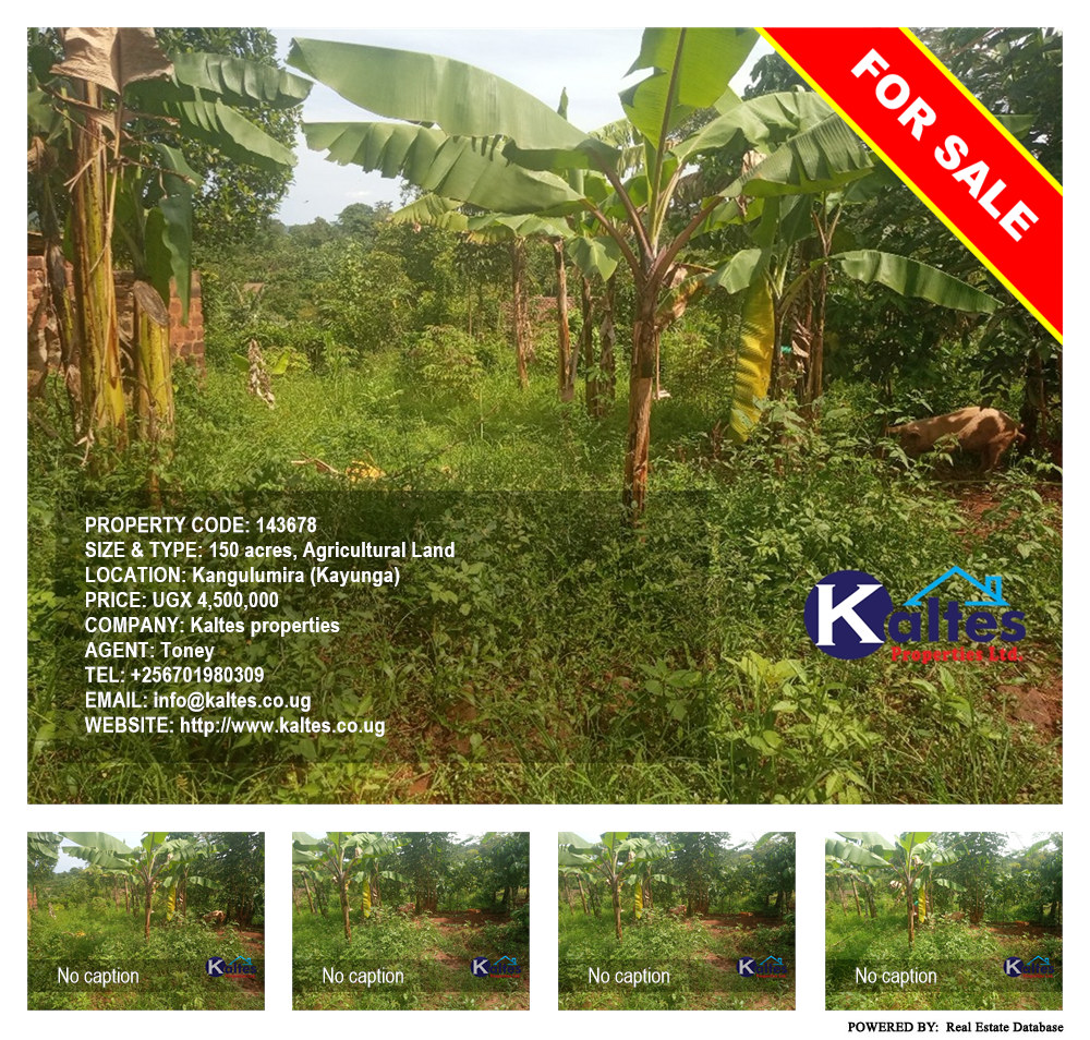 Agricultural Land  for sale in Kangulumira Kayunga Uganda, code: 143678