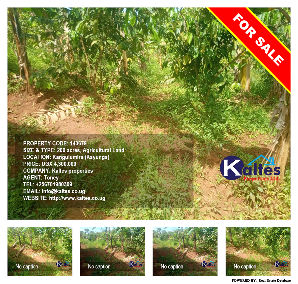 Agricultural Land  for sale in Kangulumira Kayunga Uganda, code: 143679