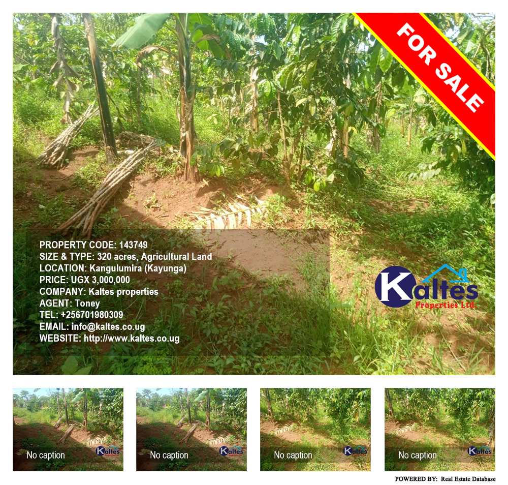 Agricultural Land  for sale in Kangulumira Kayunga Uganda, code: 143749