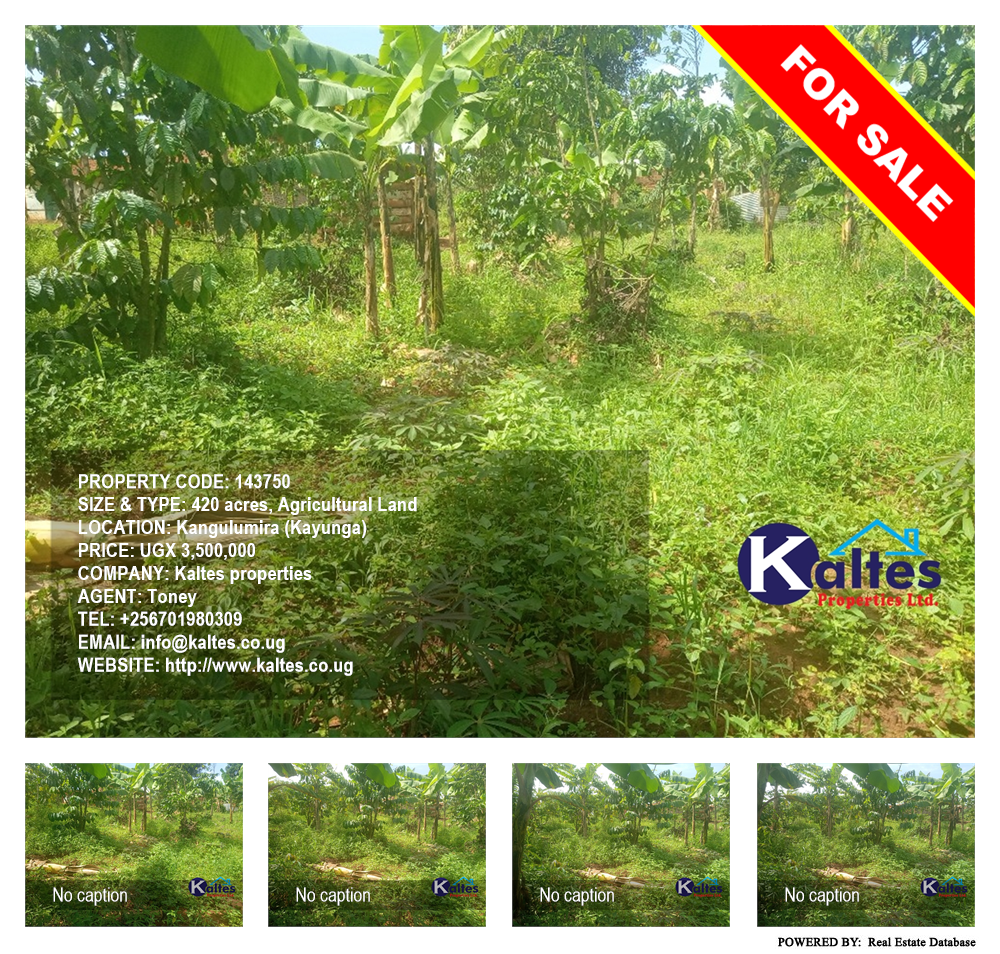 Agricultural Land  for sale in Kangulumira Kayunga Uganda, code: 143750