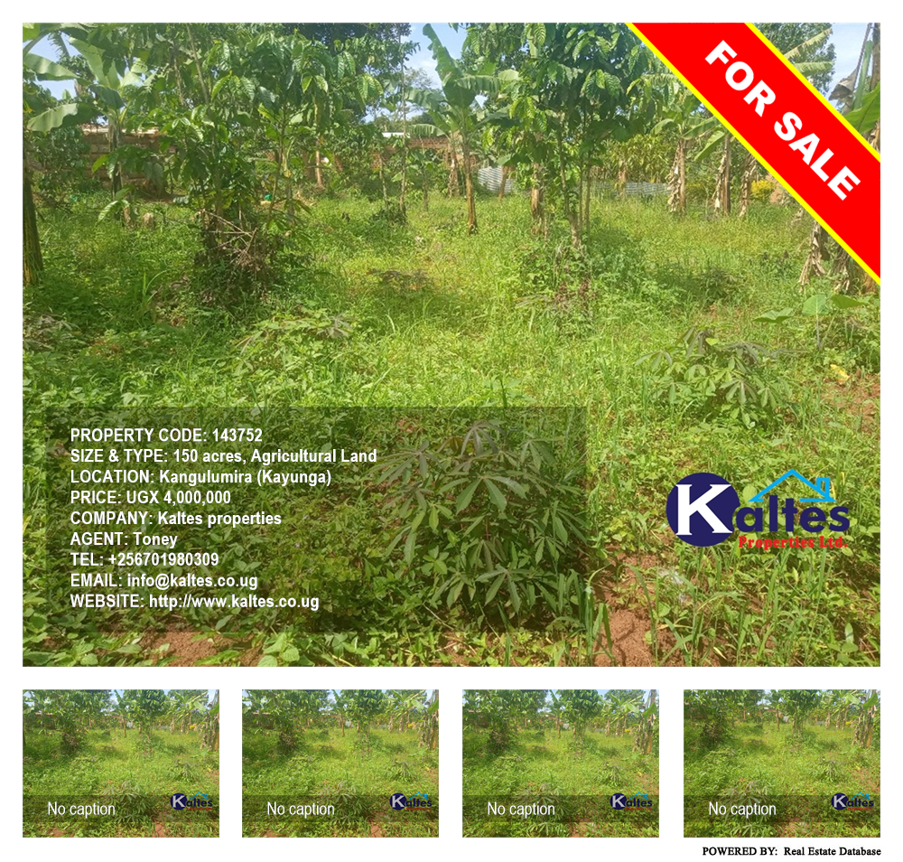 Agricultural Land  for sale in Kangulumira Kayunga Uganda, code: 143752