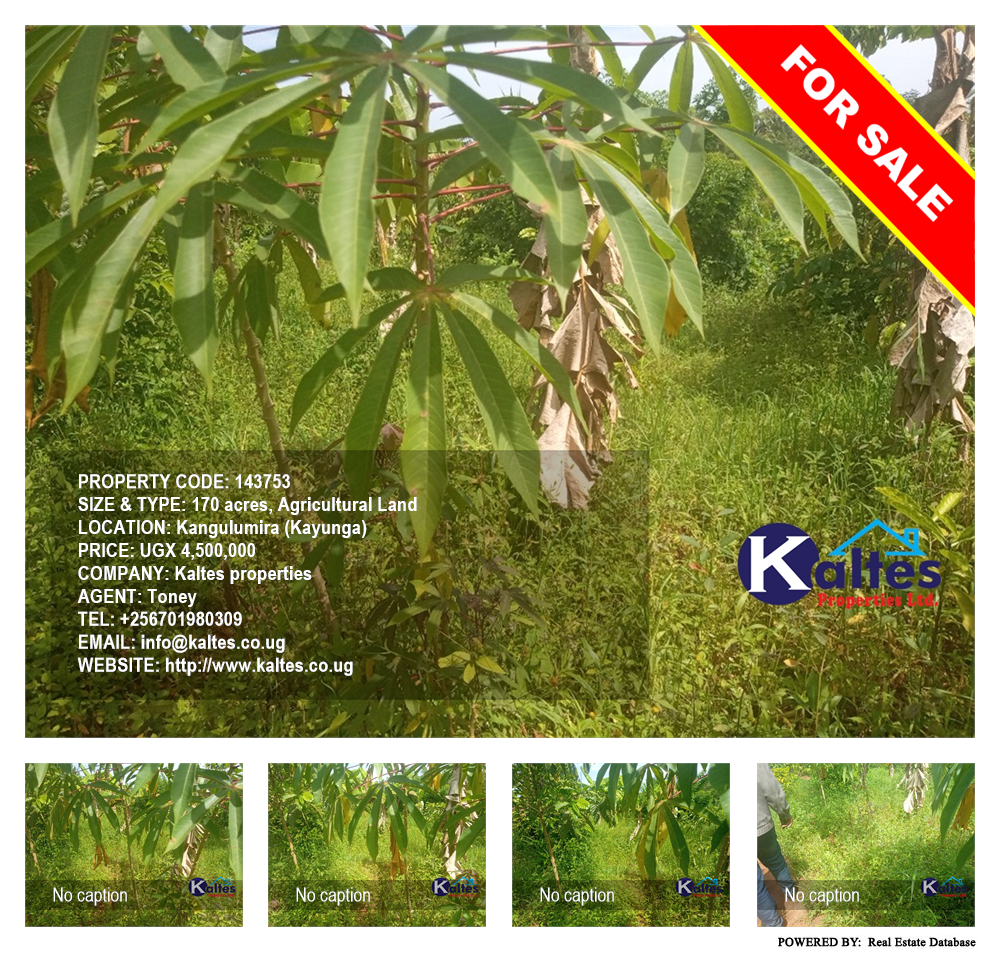 Agricultural Land  for sale in Kangulumira Kayunga Uganda, code: 143753