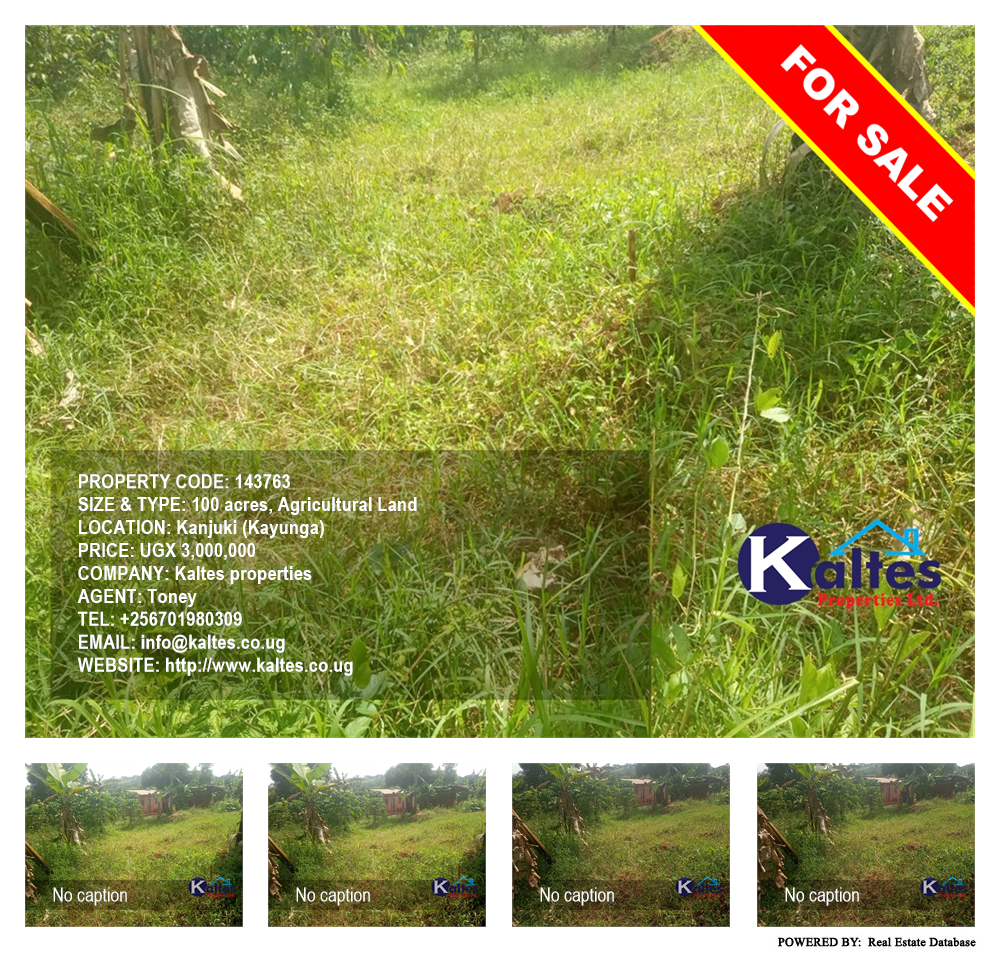 Agricultural Land  for sale in Kanjuki Kayunga Uganda, code: 143763