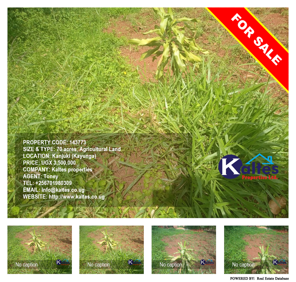Agricultural Land  for sale in Kanjuki Kayunga Uganda, code: 143773
