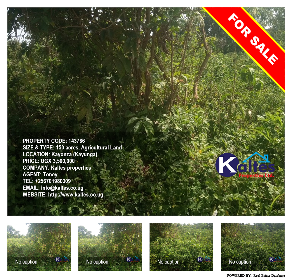 Agricultural Land  for sale in Kayonza Kayunga Uganda, code: 143786