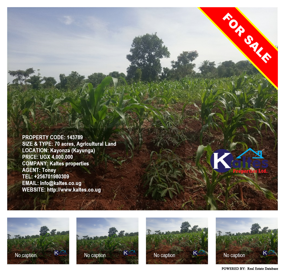 Agricultural Land  for sale in Kayonza Kayunga Uganda, code: 143789