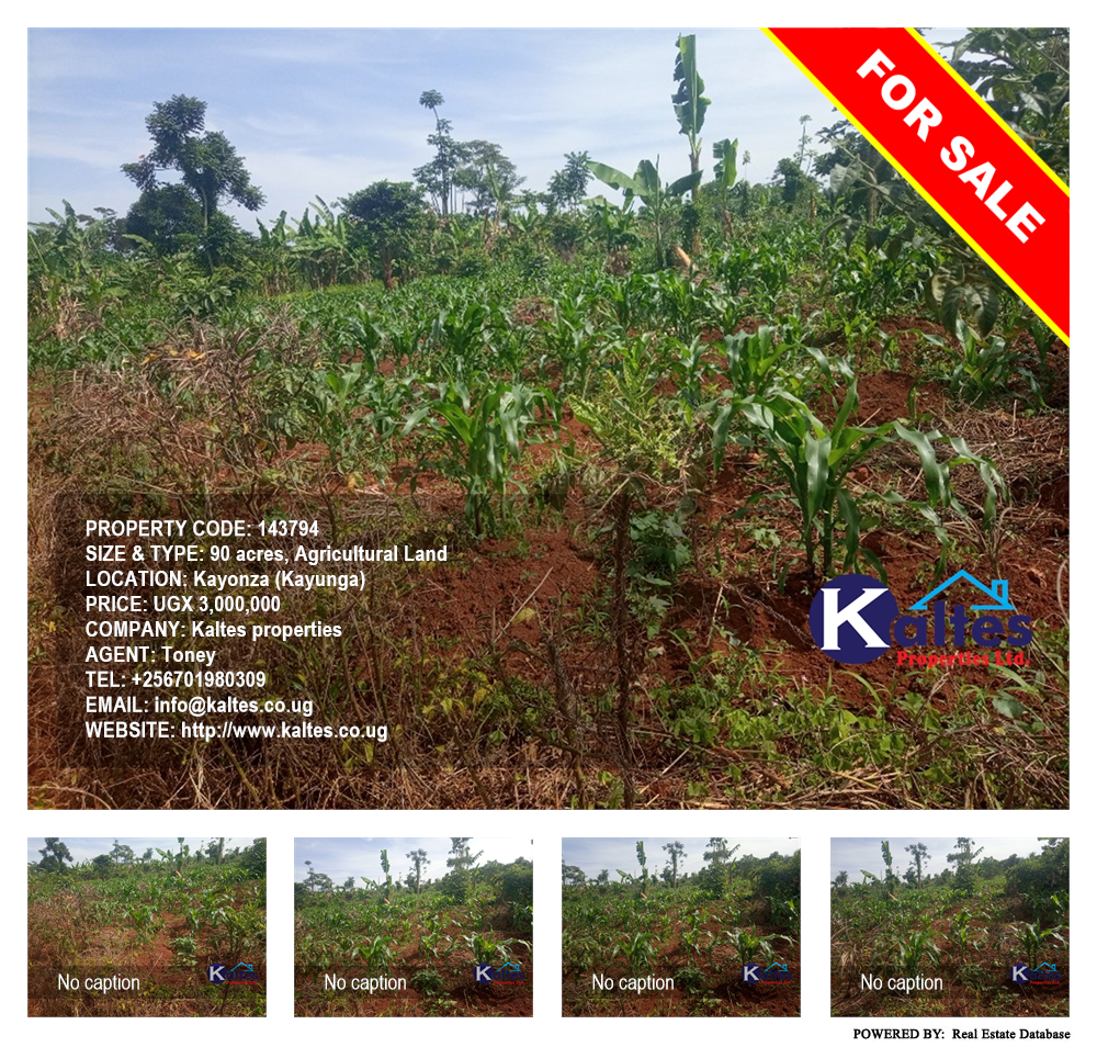 Agricultural Land  for sale in Kayonza Kayunga Uganda, code: 143794