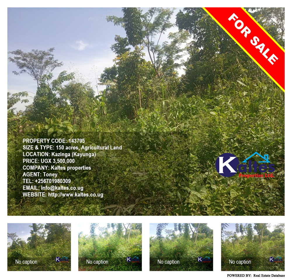 Agricultural Land  for sale in Kazinga Kayunga Uganda, code: 143795