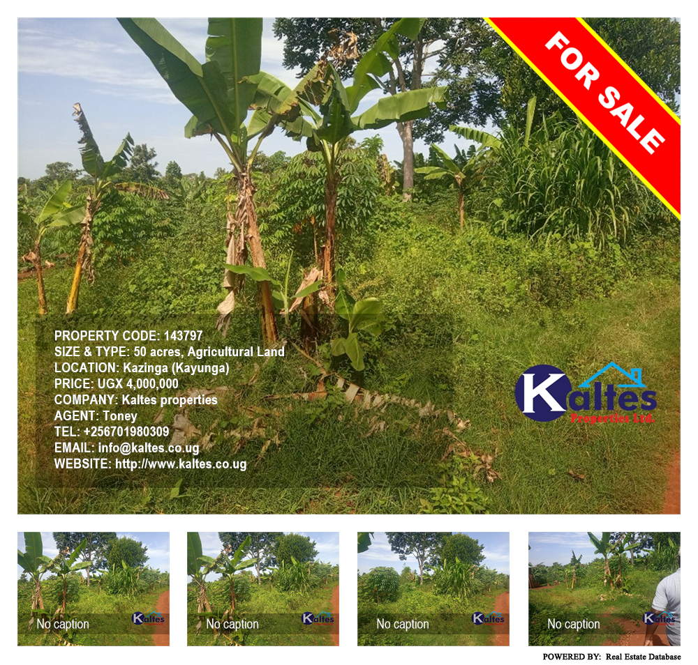 Agricultural Land  for sale in Kazinga Kayunga Uganda, code: 143797