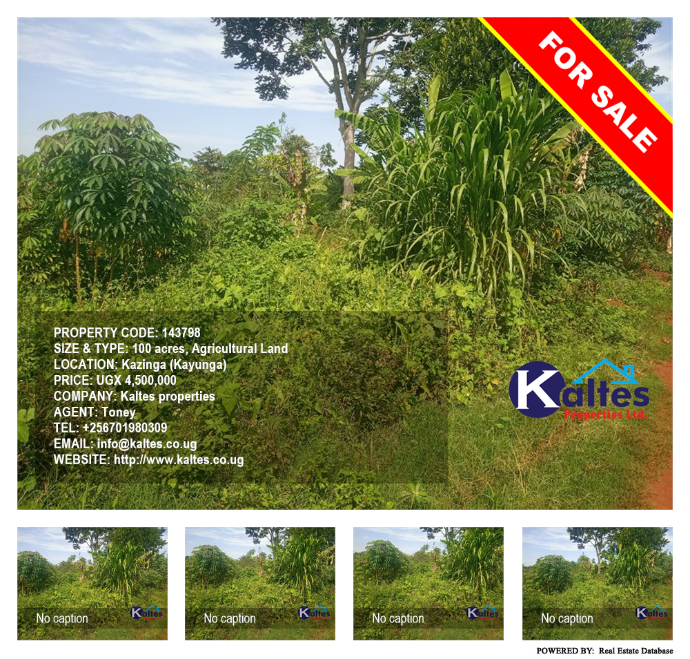 Agricultural Land  for sale in Kazinga Kayunga Uganda, code: 143798