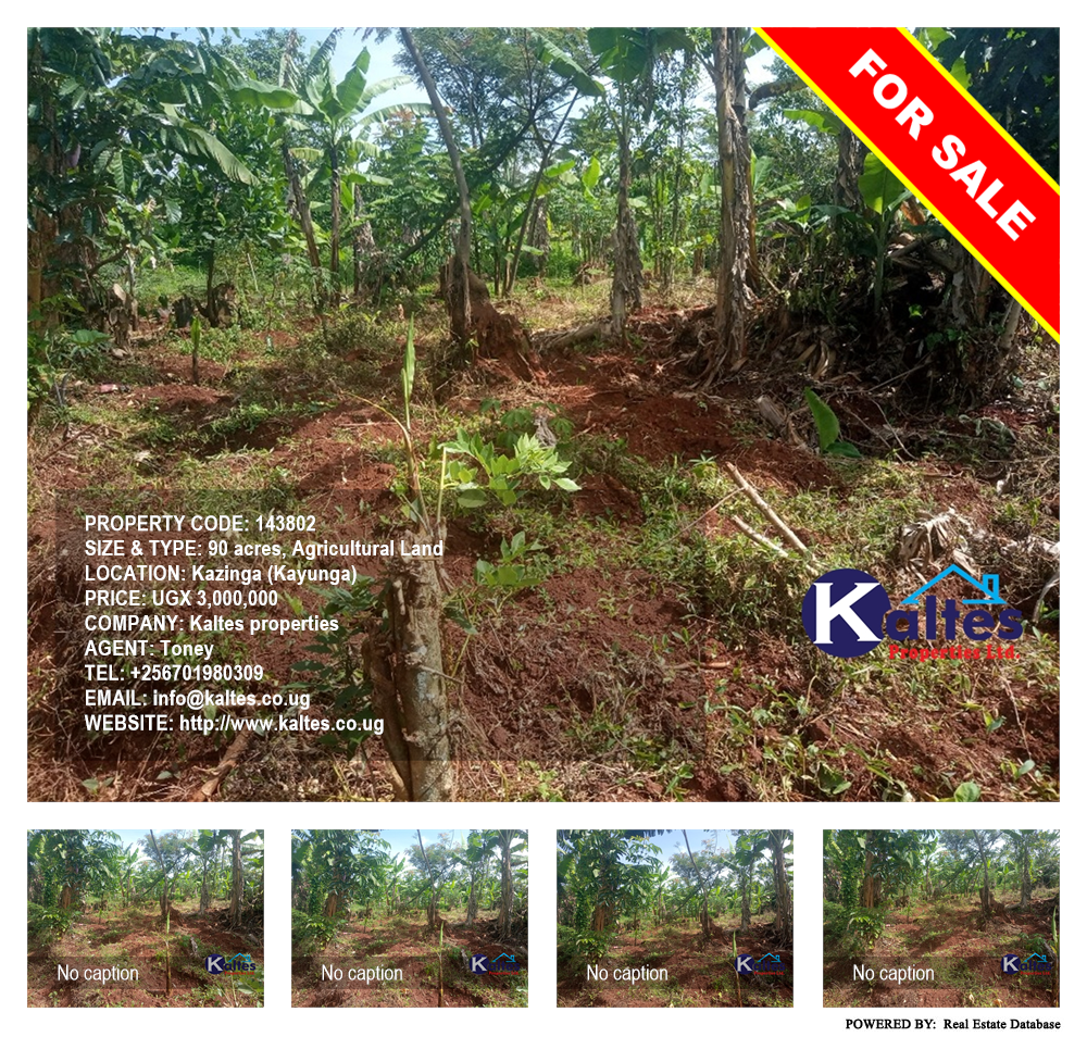 Agricultural Land  for sale in Kazinga Kayunga Uganda, code: 143802