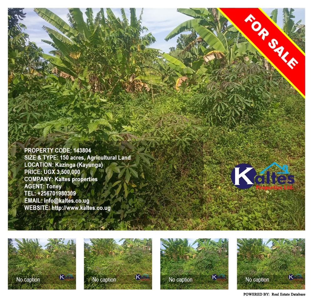 Agricultural Land  for sale in Kazinga Kayunga Uganda, code: 143804