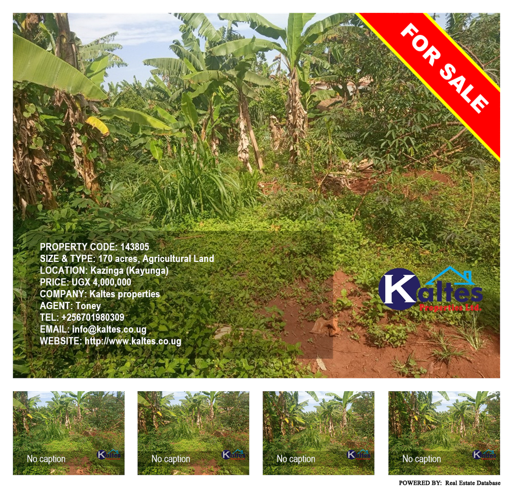 Agricultural Land  for sale in Kazinga Kayunga Uganda, code: 143805