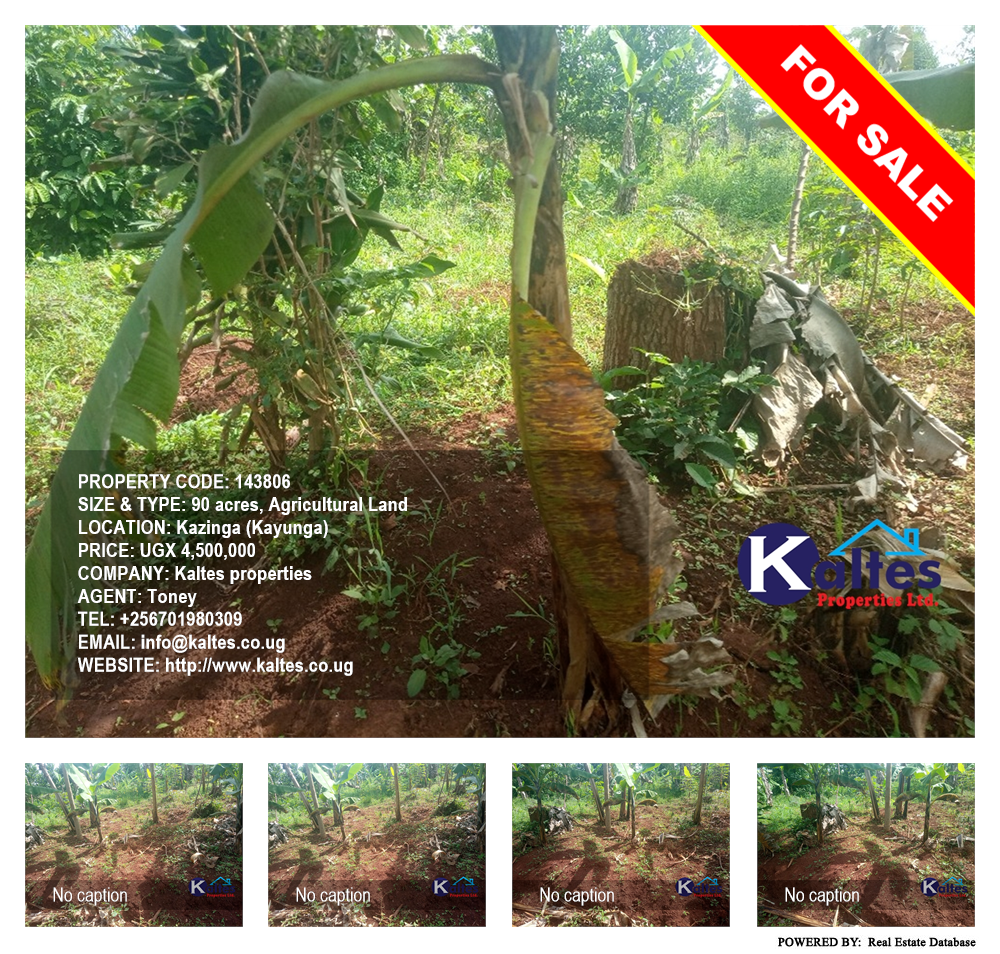 Agricultural Land  for sale in Kazinga Kayunga Uganda, code: 143806