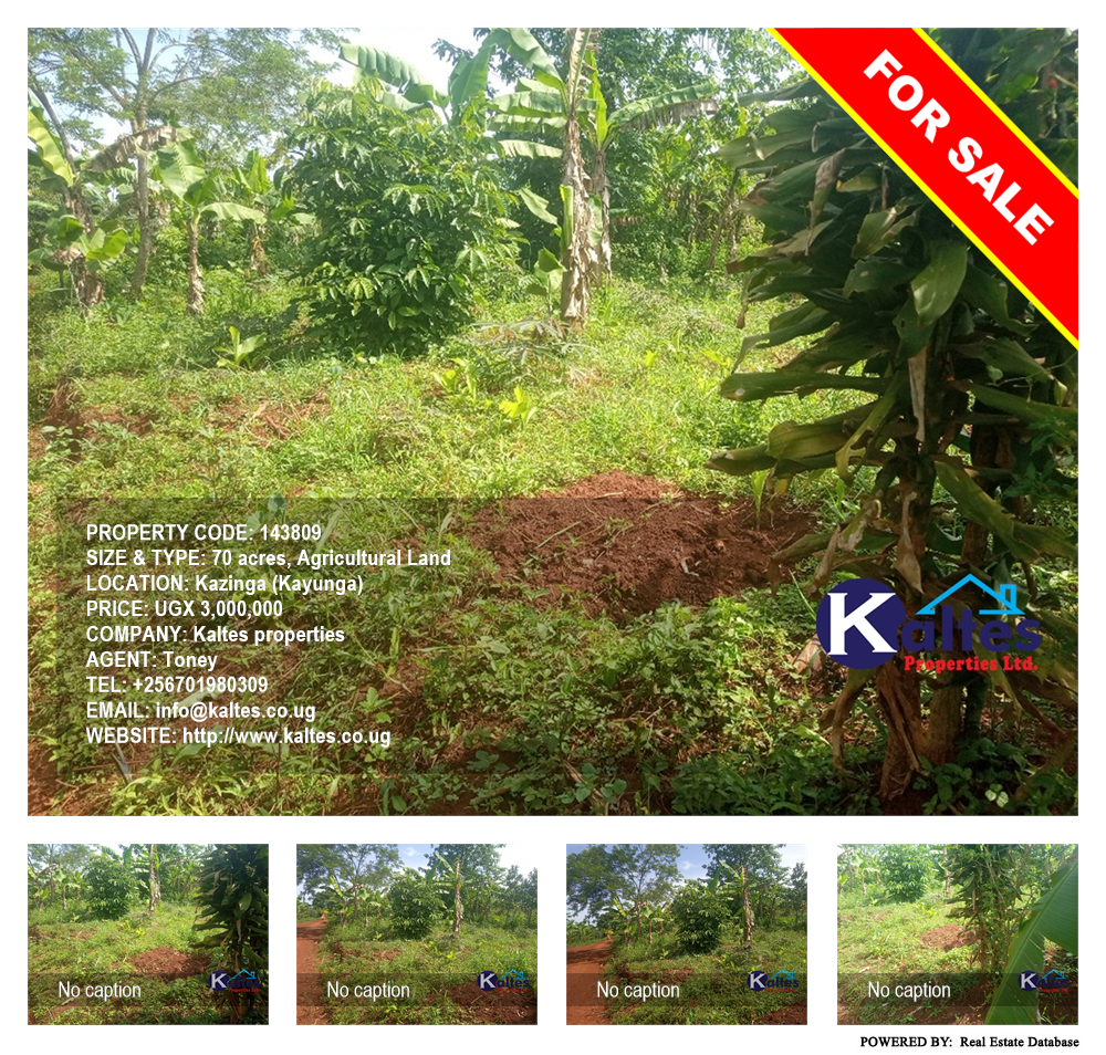 Agricultural Land  for sale in Kazinga Kayunga Uganda, code: 143809