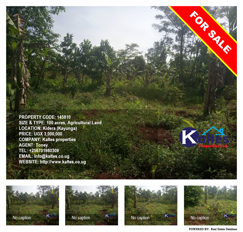 Agricultural Land  for sale in Kidera Kayunga Uganda, code: 143810
