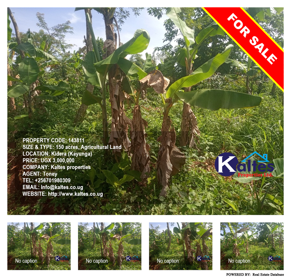 Agricultural Land  for sale in Kidera Kayunga Uganda, code: 143811