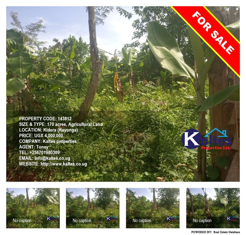 Agricultural Land  for sale in Kidera Kayunga Uganda, code: 143812