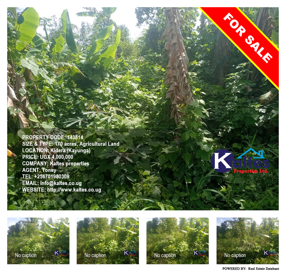 Agricultural Land  for sale in Kidera Kayunga Uganda, code: 143814
