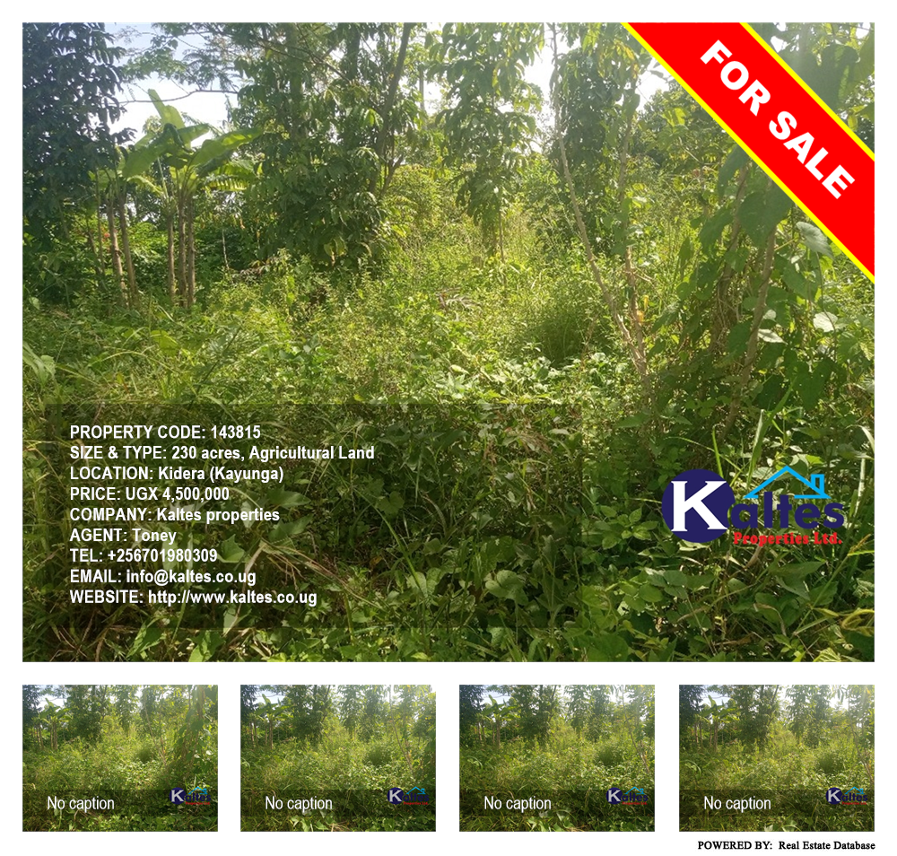 Agricultural Land  for sale in Kidera Kayunga Uganda, code: 143815