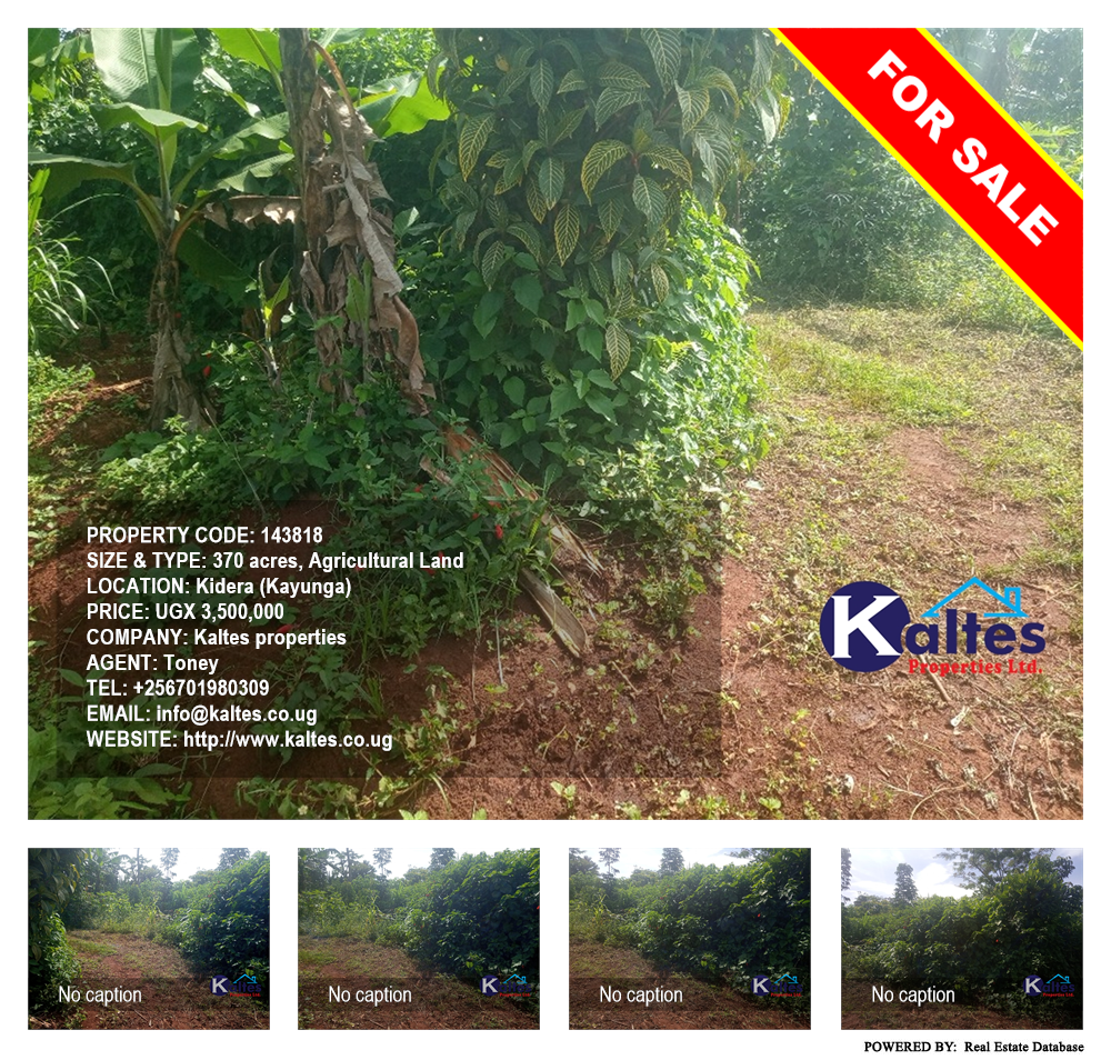Agricultural Land  for sale in Kidera Kayunga Uganda, code: 143818