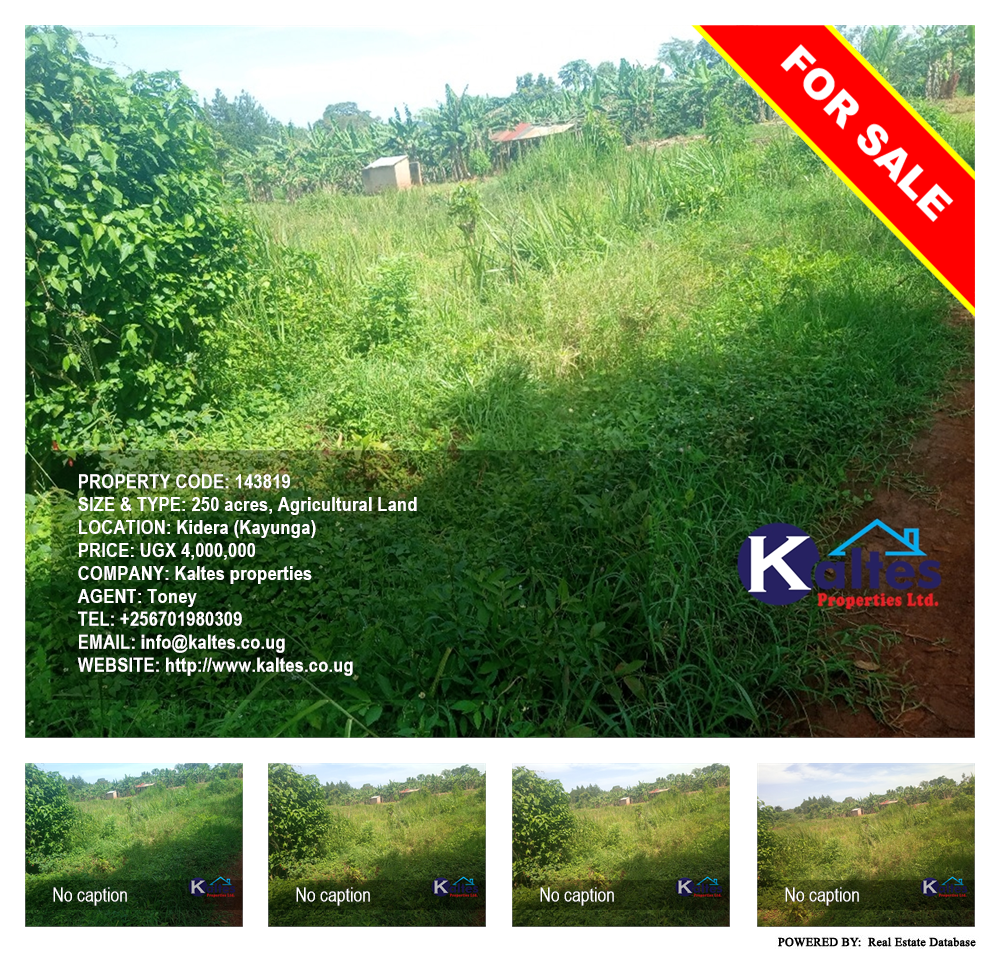 Agricultural Land  for sale in Kidera Kayunga Uganda, code: 143819