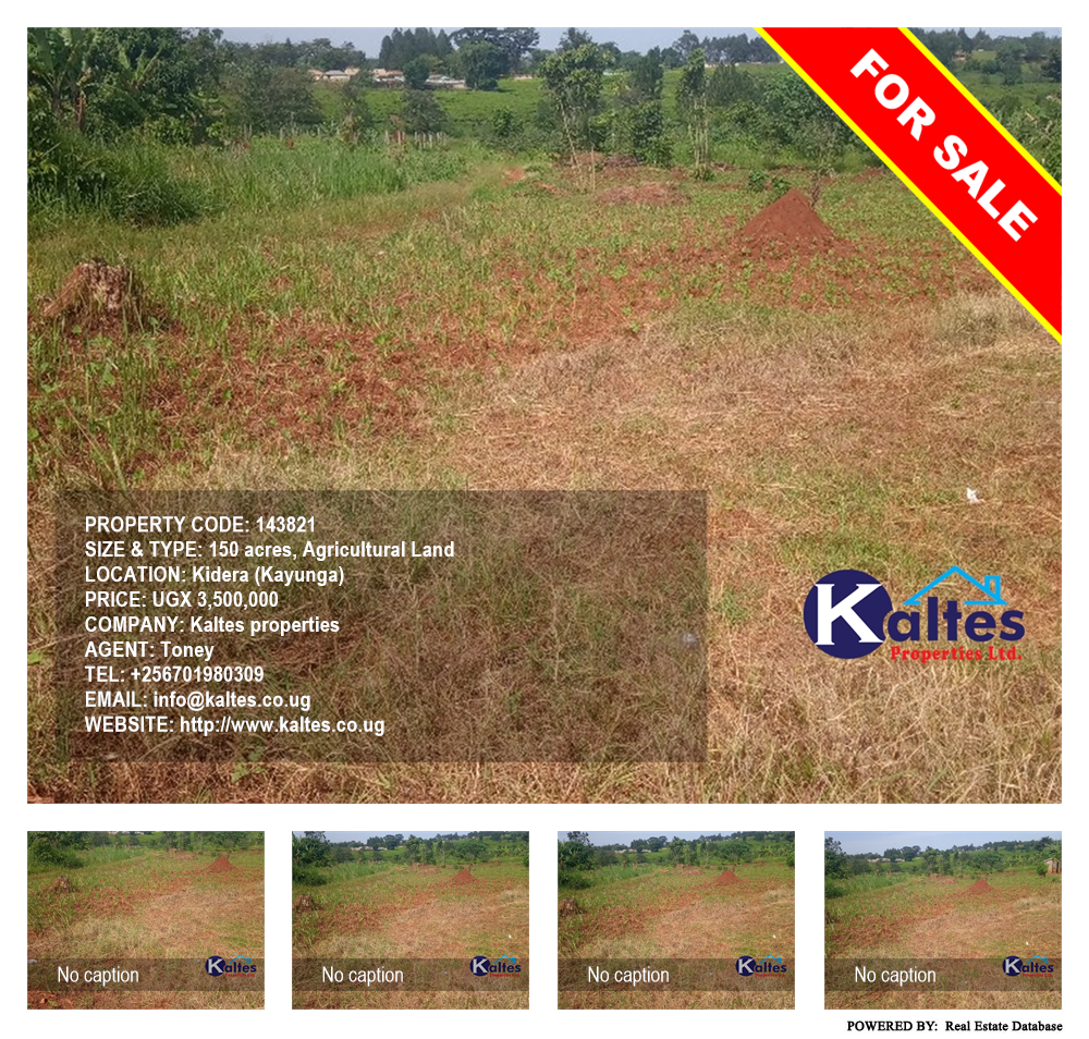 Agricultural Land  for sale in Kidera Kayunga Uganda, code: 143821