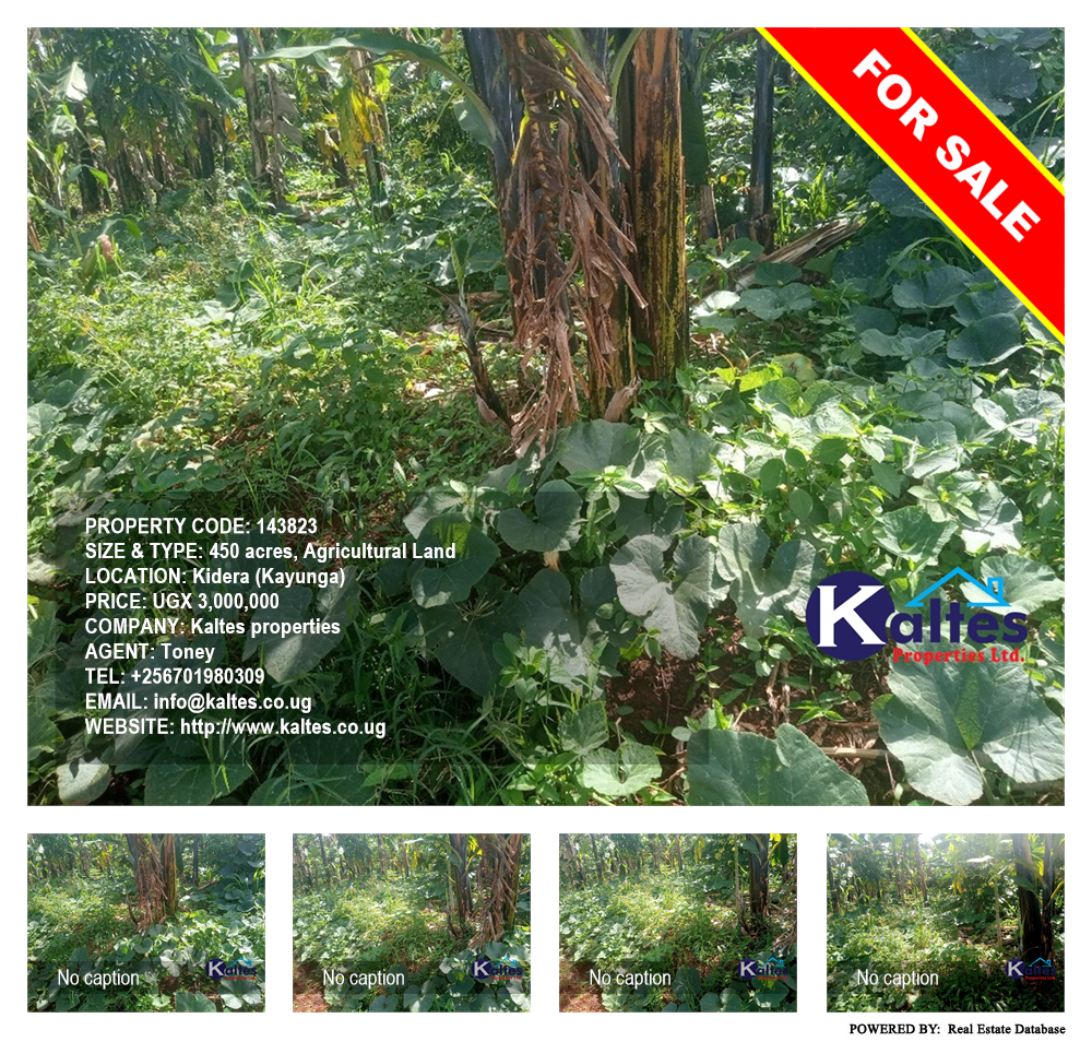 Agricultural Land  for sale in Kidera Kayunga Uganda, code: 143823