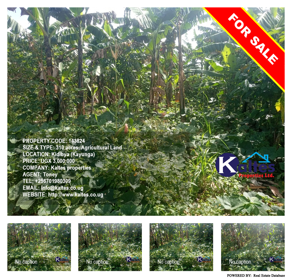 Agricultural Land  for sale in Kidibya Kayunga Uganda, code: 143824