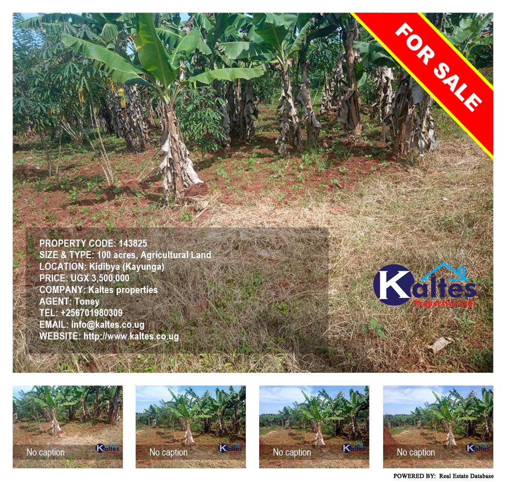 Agricultural Land  for sale in Kidibya Kayunga Uganda, code: 143825