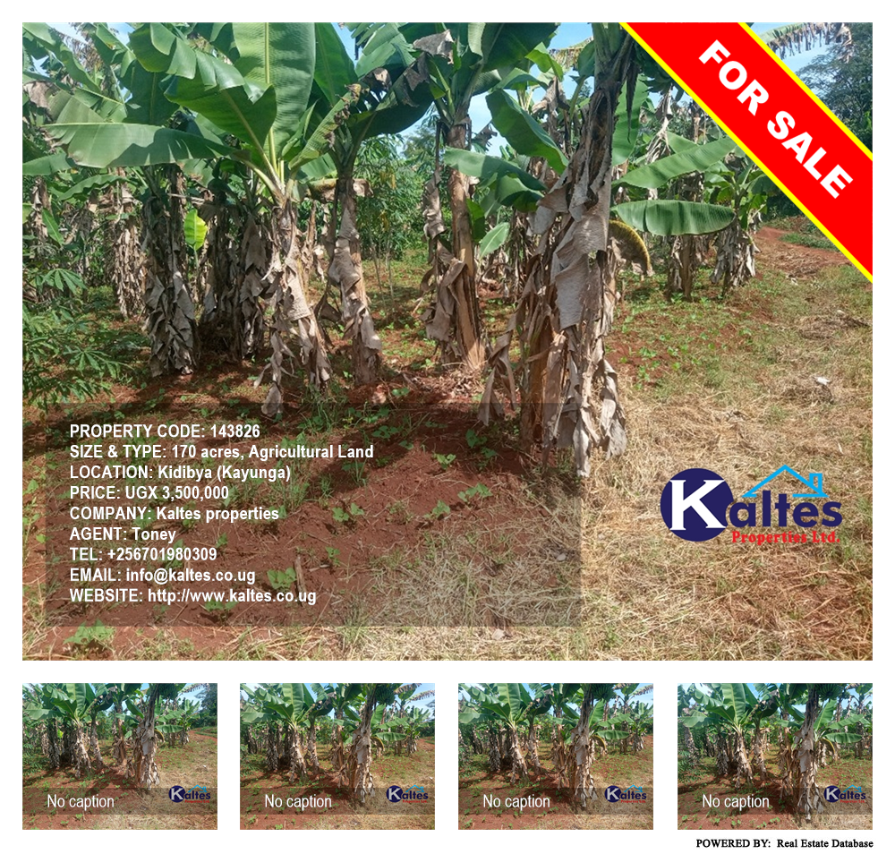Agricultural Land  for sale in Kidibya Kayunga Uganda, code: 143826