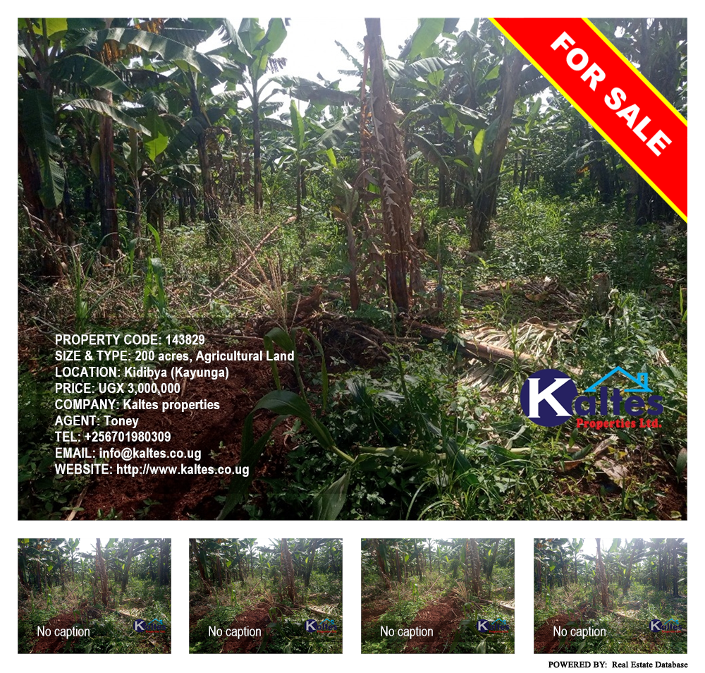 Agricultural Land  for sale in Kidibya Kayunga Uganda, code: 143829