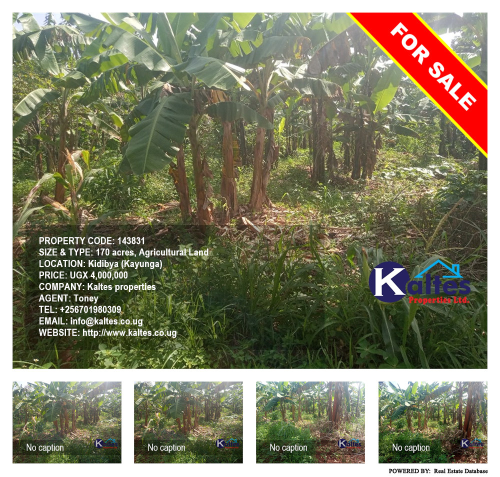 Agricultural Land  for sale in Kidibya Kayunga Uganda, code: 143831