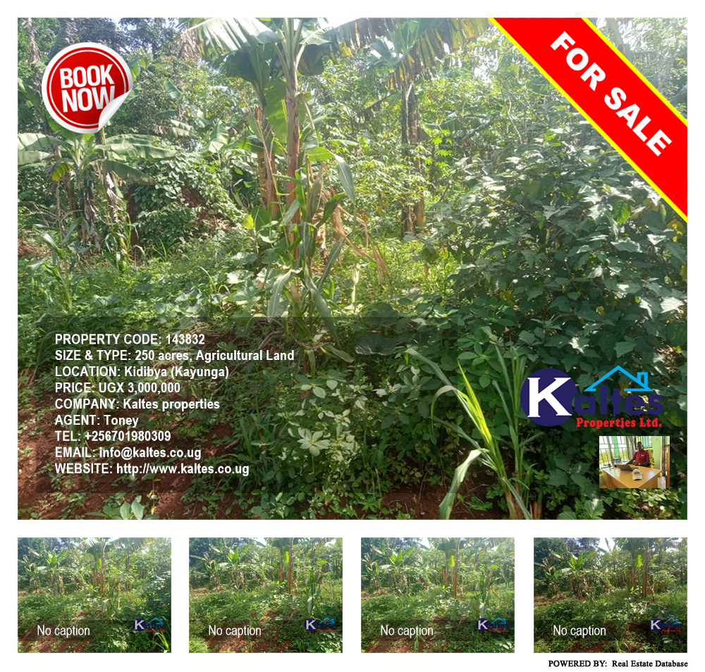 Agricultural Land  for sale in Kidibya Kayunga Uganda, code: 143832