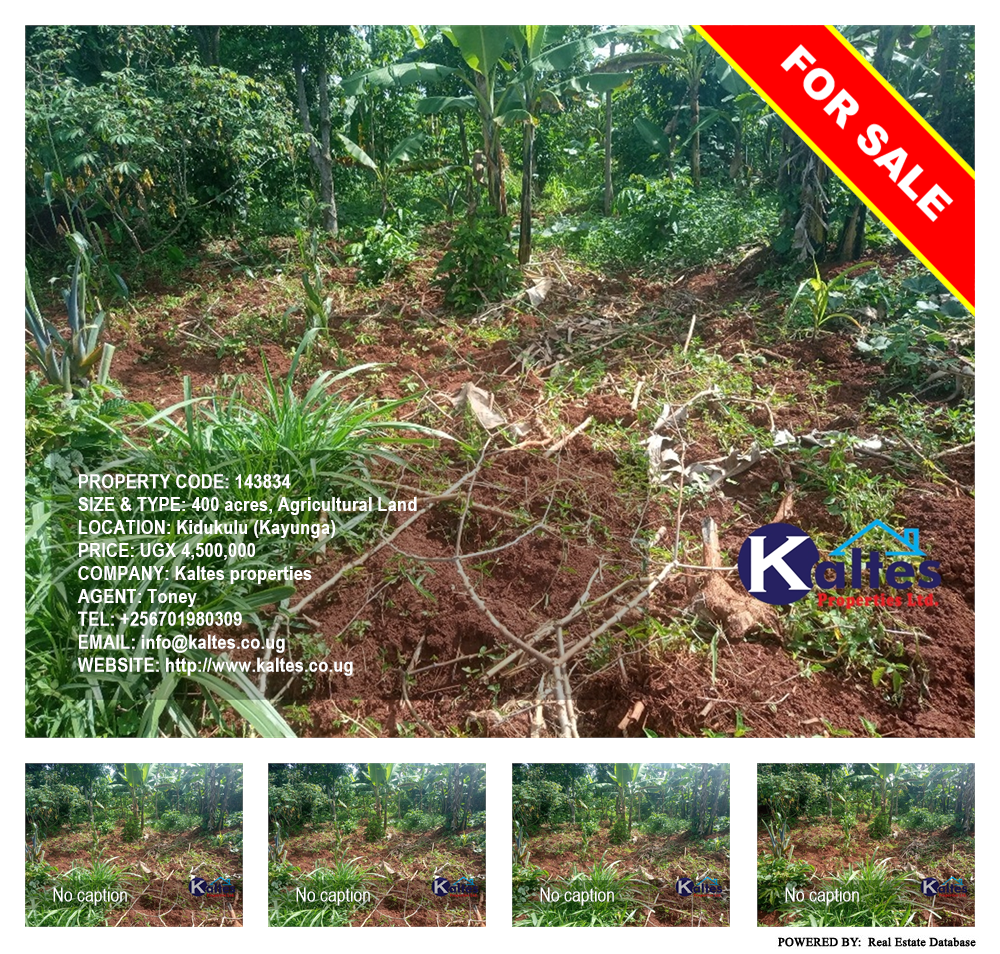 Agricultural Land  for sale in Kidukulu Kayunga Uganda, code: 143834